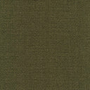 Coolidge Dill by Regal Fabrics Chunky Yarn Textured Upholstery Fabric (Copy)